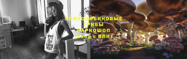 мдпв Горняк