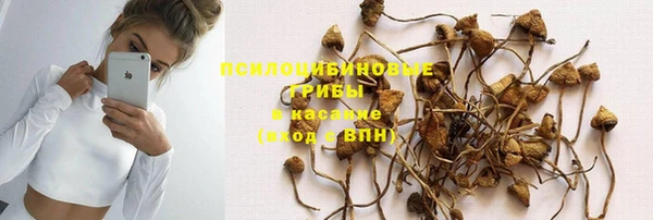 тгк Горно-Алтайск