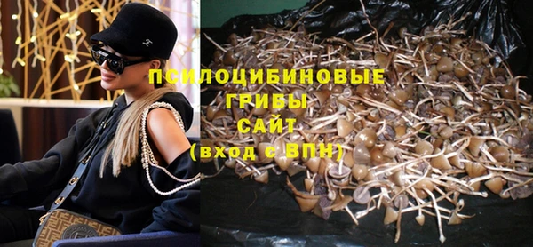 мдпв Горняк