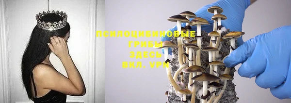 мдпв Горняк