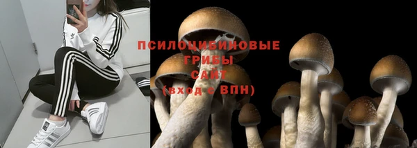 COCAINE Гусиноозёрск