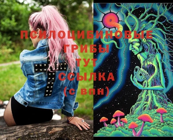 тгк Горно-Алтайск
