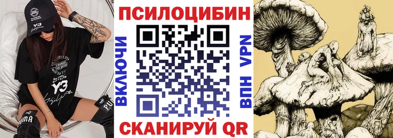 ссылка на мегу как зайти Златоуст Галлюциногенные грибы Psilocybine cubensis